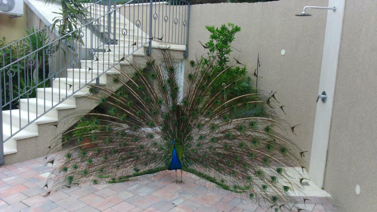 Anka Strman Apartment Makarska Luaran gambar